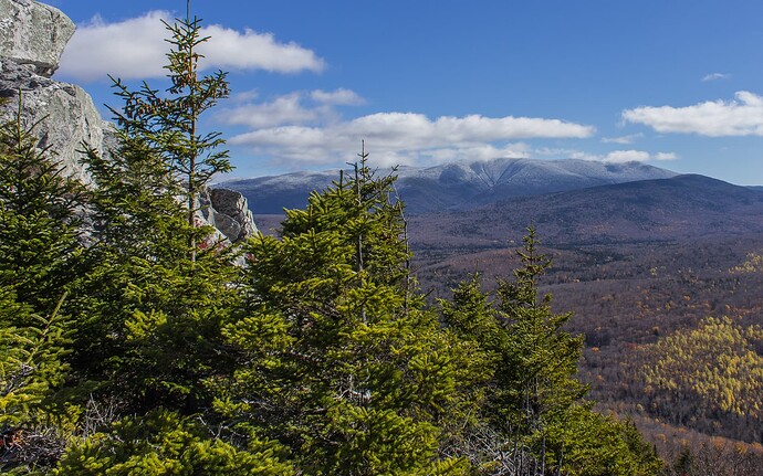 Black Mt, Mid October-12