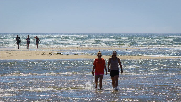Cape Cod-29