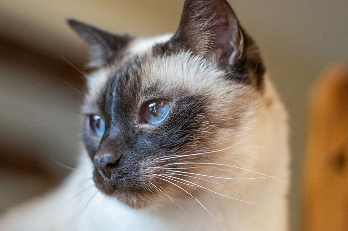 Max
