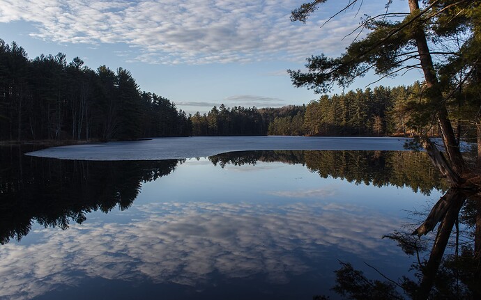 Lake walking