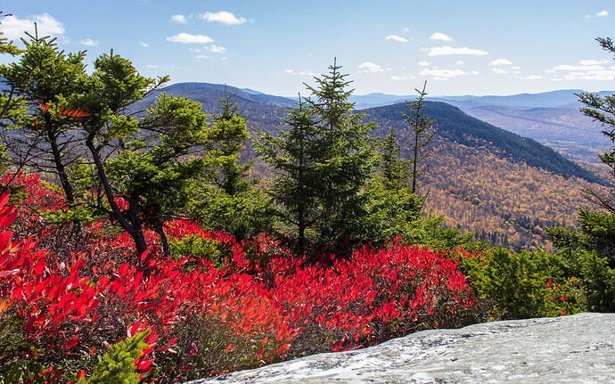 Black Mt, Mid October-10