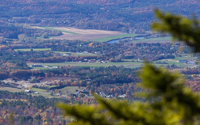 Black Mt, Mid October-6