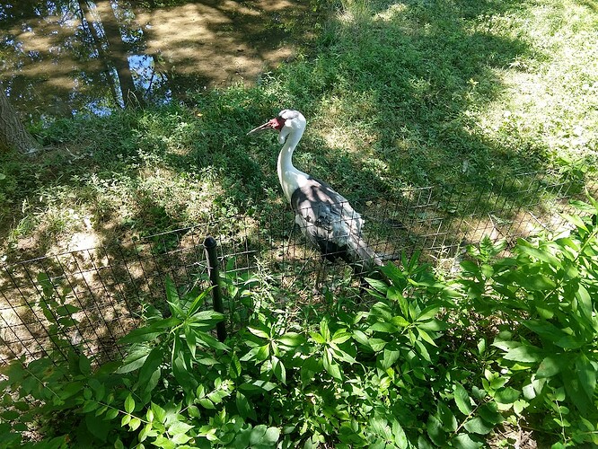 IMG_20240630_152307966_HDR