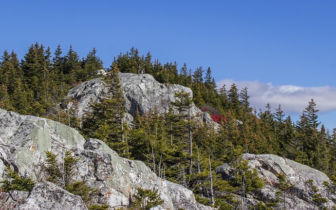 Black Mt, Mid October-11