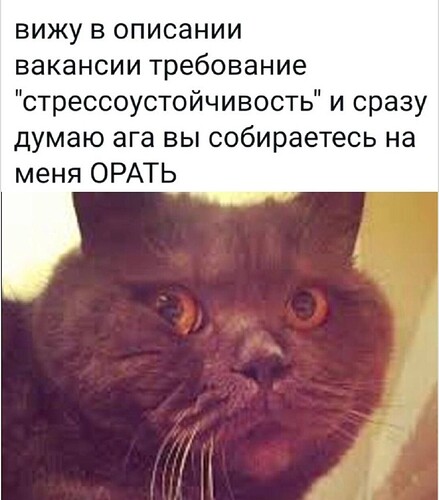 Screenshot_2024-01-24-06-33-03-96_40deb401b9ffe8e1df2f1cc5ba480b12