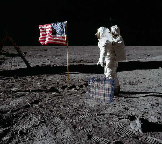 Buzz_Aldrin_and_the_U.S.flag_on_the_Moon-_GPN-2001-000012.jpg