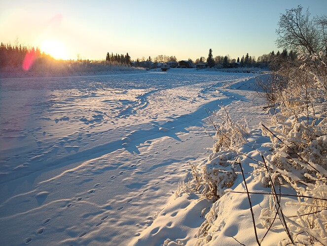 IMG_20241118_142853861