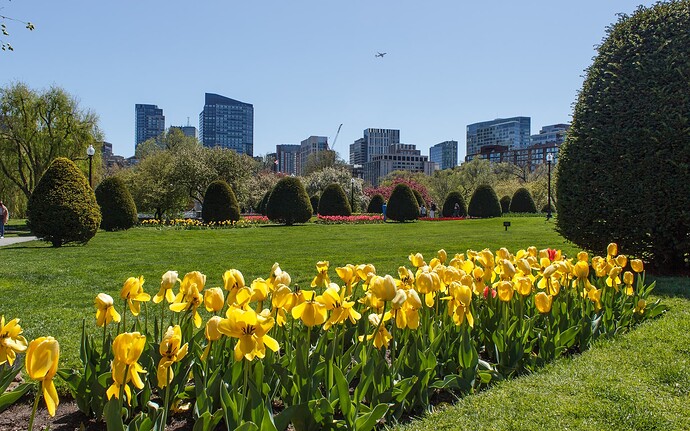 Boston Common-1