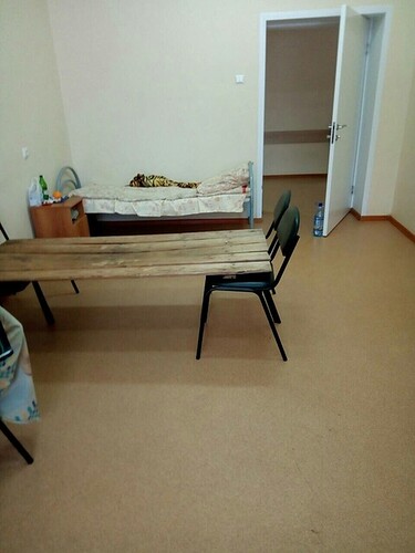 bed1.jpg