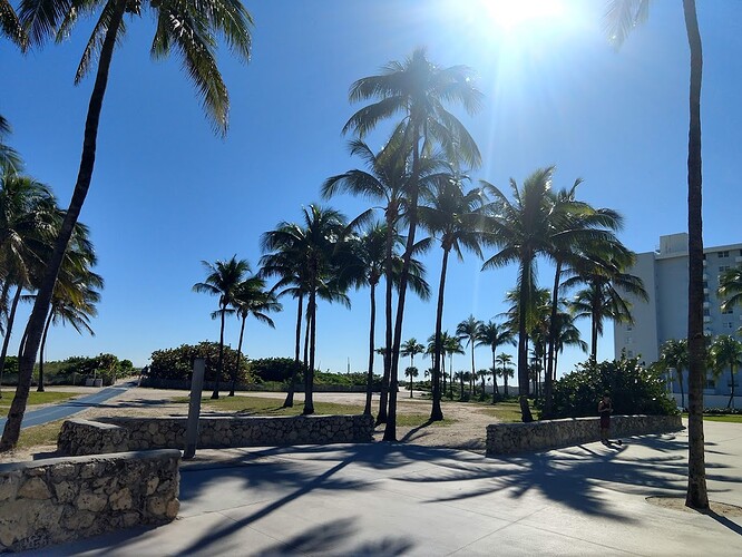 IMG_20201209_105231771_HDR