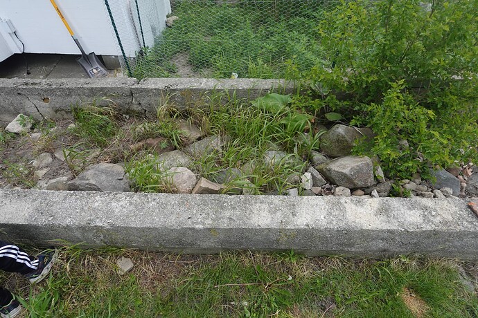 DSC01107
