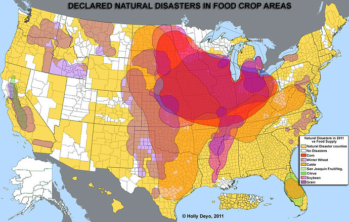 natural_disaster_map2.jpg