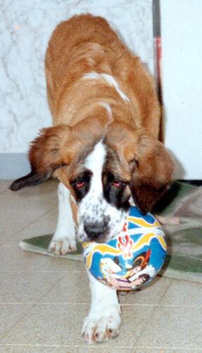 img111.jpg