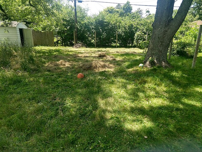 IMG_20230707_142821627_HDR