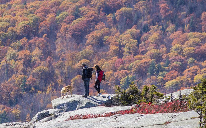 Black Mt, Mid October-16