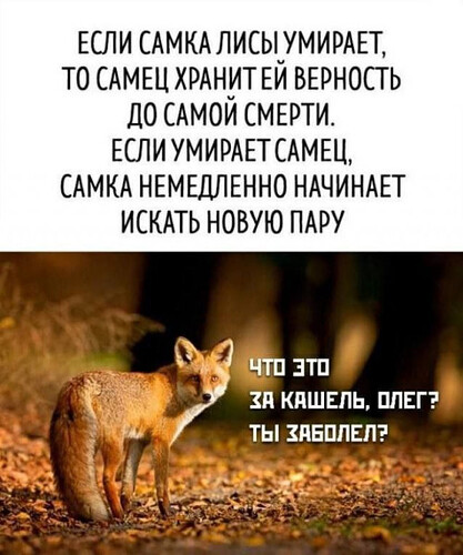 661072195_.jpg.ced3345e834b1b332f1c0ffaf688e7b5