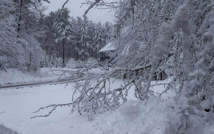 April-4-Snow-1