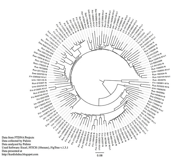 STR111 master list haplogroupN Polar tree.jpg