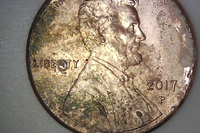 penny 2.jpg