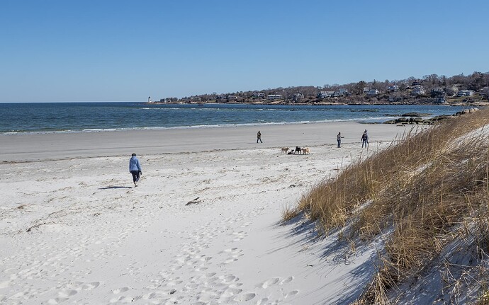 Wingaersheek Beach, Mass-2