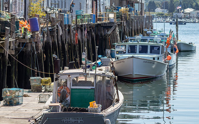 Portland Fishing-3