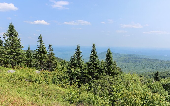 Mt. Kearsarge