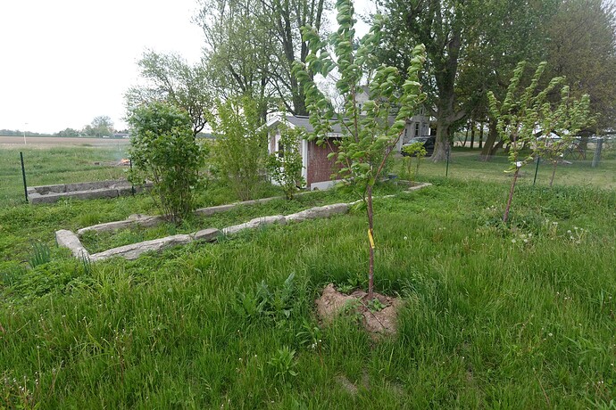 DSC00997