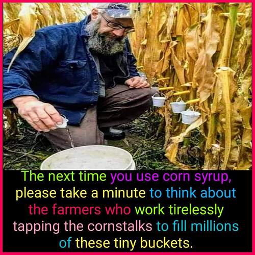 FB_IMG_1724884575931