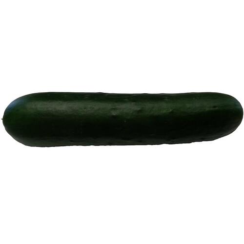 cuc1.jpg