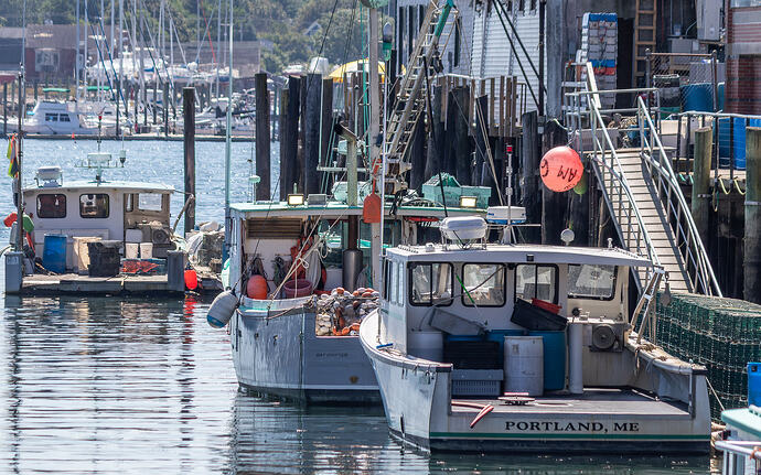 Portland Fishing-4