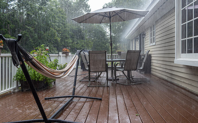 Rain & Dack