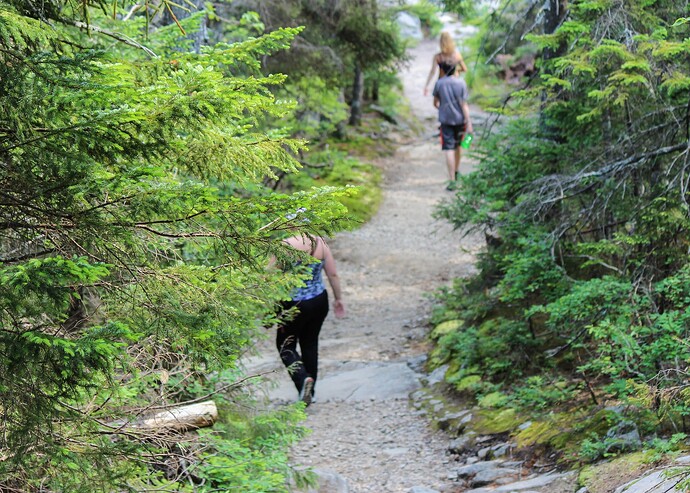 Mt. Kearsarge--7