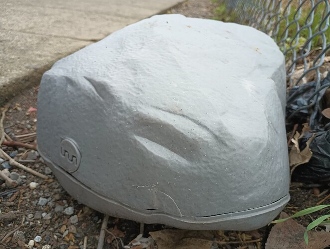 IMG_20240223_154541992