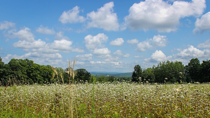 Farm-6