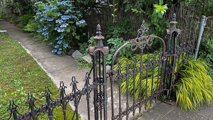 230709_Greenport-12