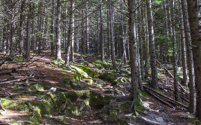 Black Mt, Mid October-7