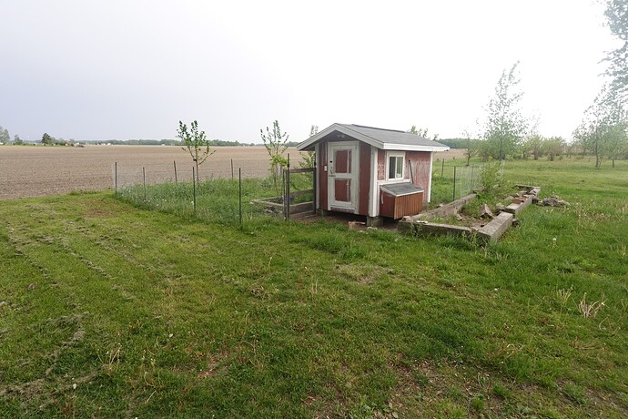 DSC00994