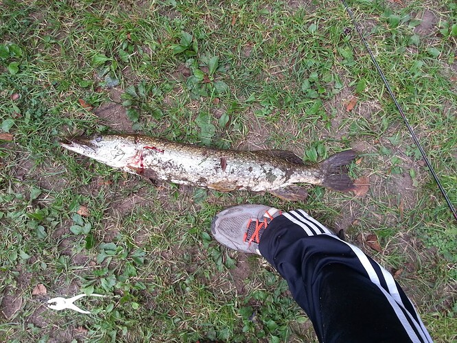 pike2.jpg