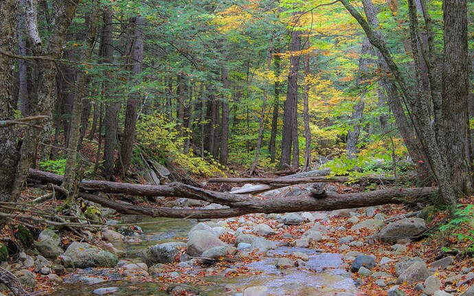 Kancamagus Hwy_-11