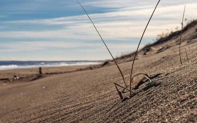 Plum-Island-December-1