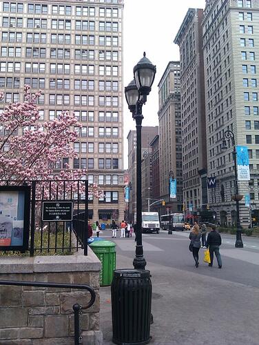 IMAG0305.jpg
