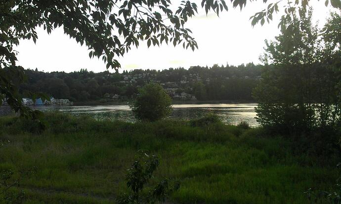 IMAG0409.jpg