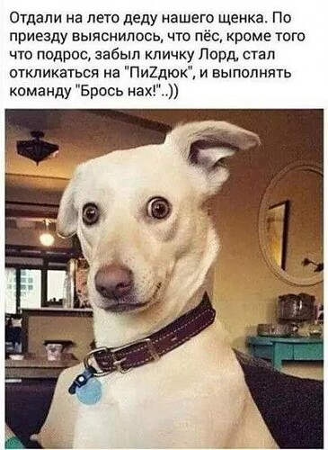17343904256244769339790190487599