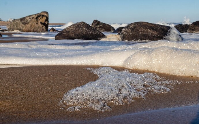 Plum-Island-December-3