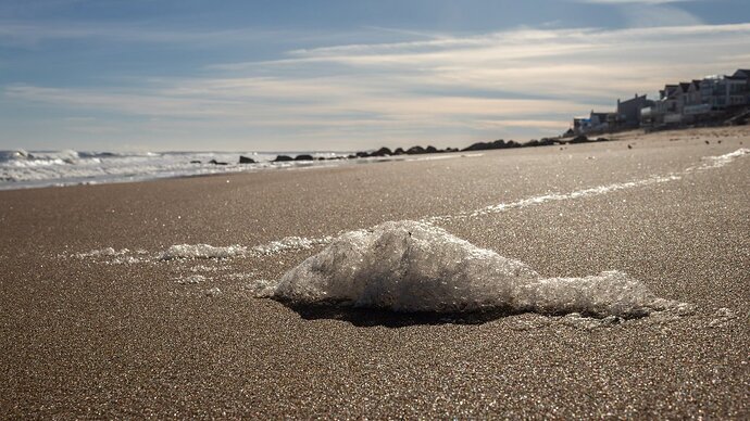 Plum-Island-December-2
