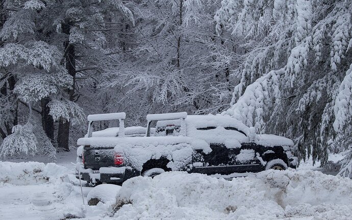 April-4-Snow-4