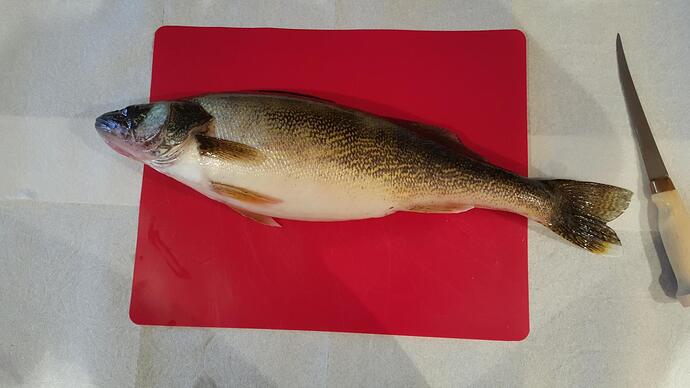 20160327_164942.jpg