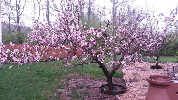 20160324_183846.jpg