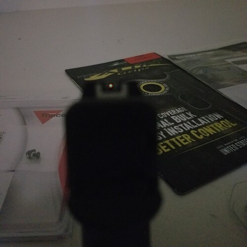 trijicon2.jpg