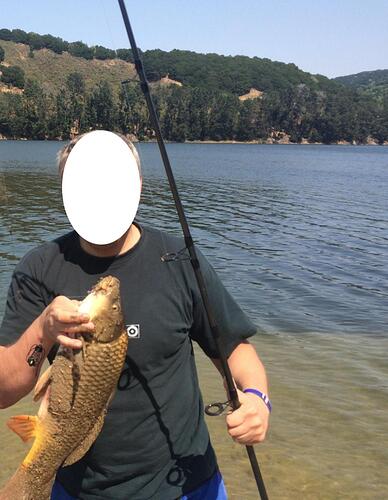 carp1.jpg